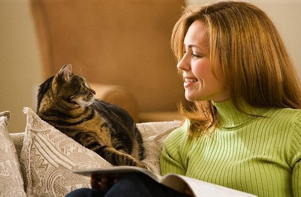 Understanding Cat Language