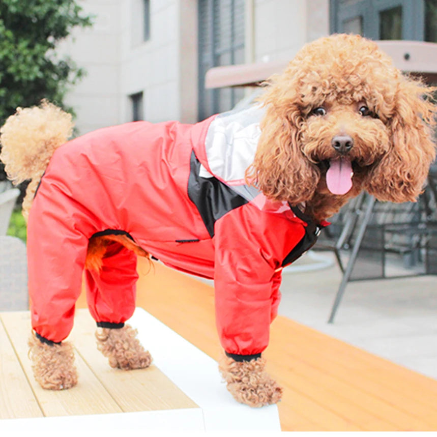 Raincoat for Dogs