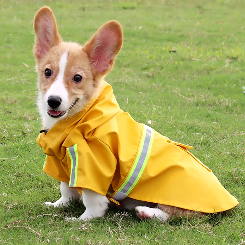 Dog Raincoat