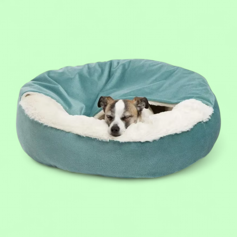 Orthopedic Dog Bed