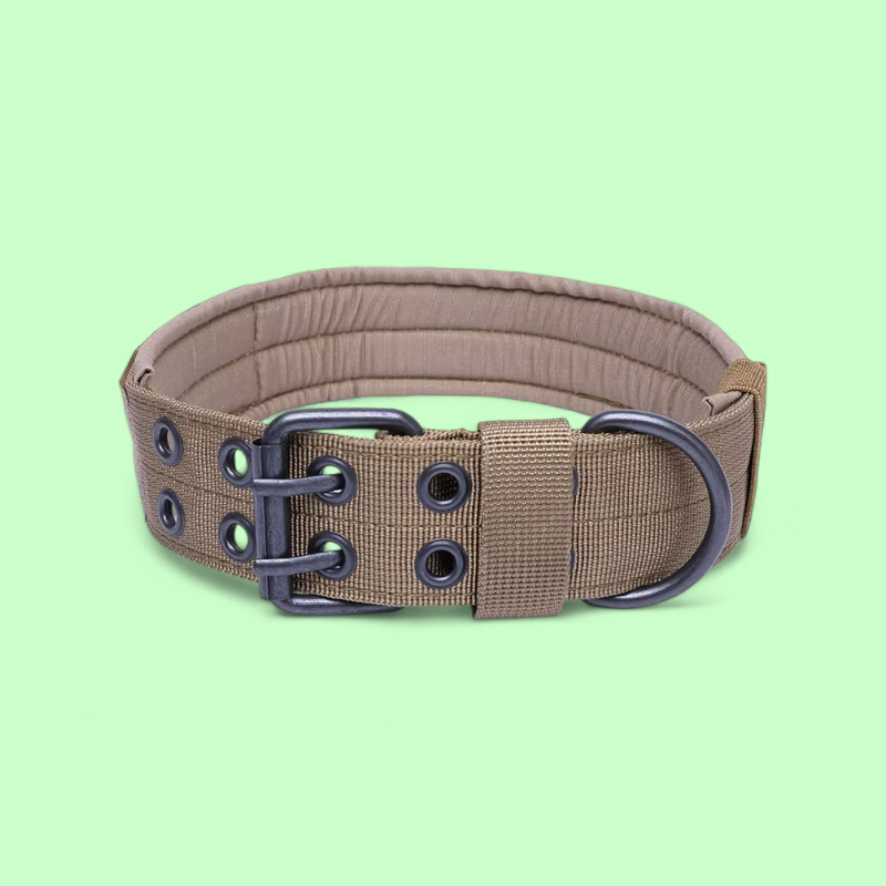 Dog Collar