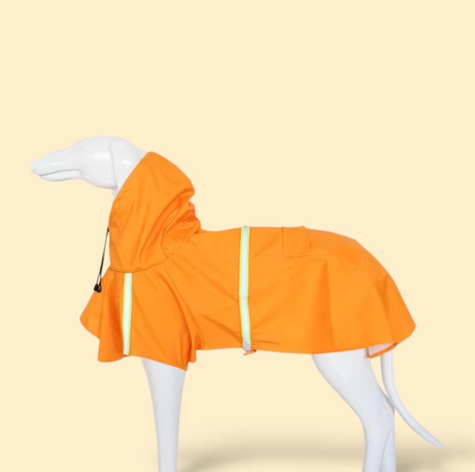 Dog Raincoat