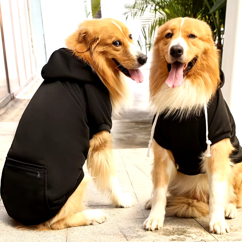 Winter Jacket for Dogs