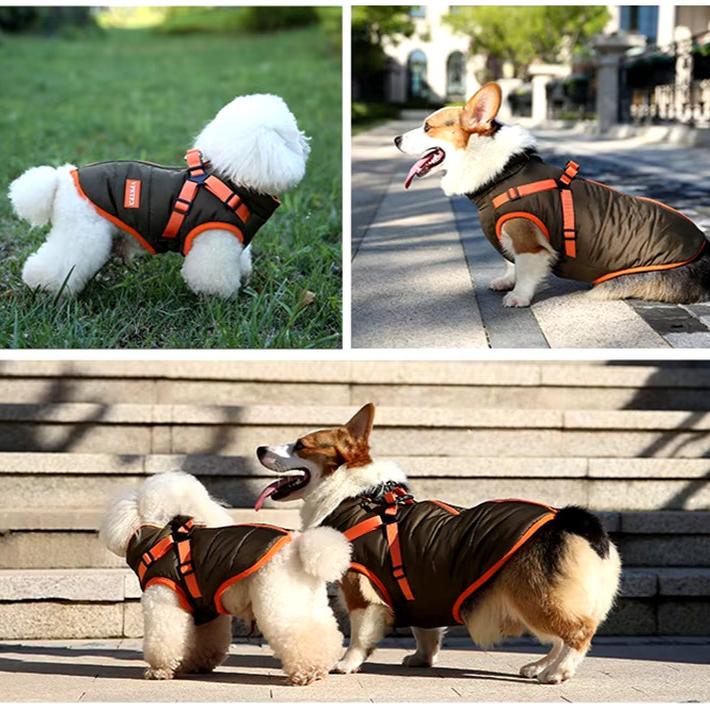 Waterproof Jacket for Dogs