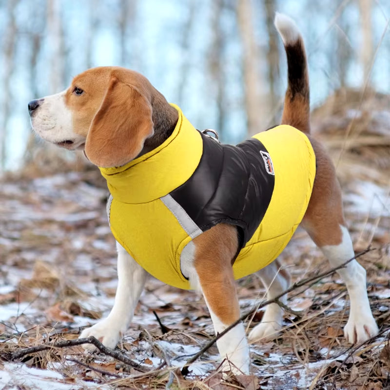 Waterproof Dog Jacket