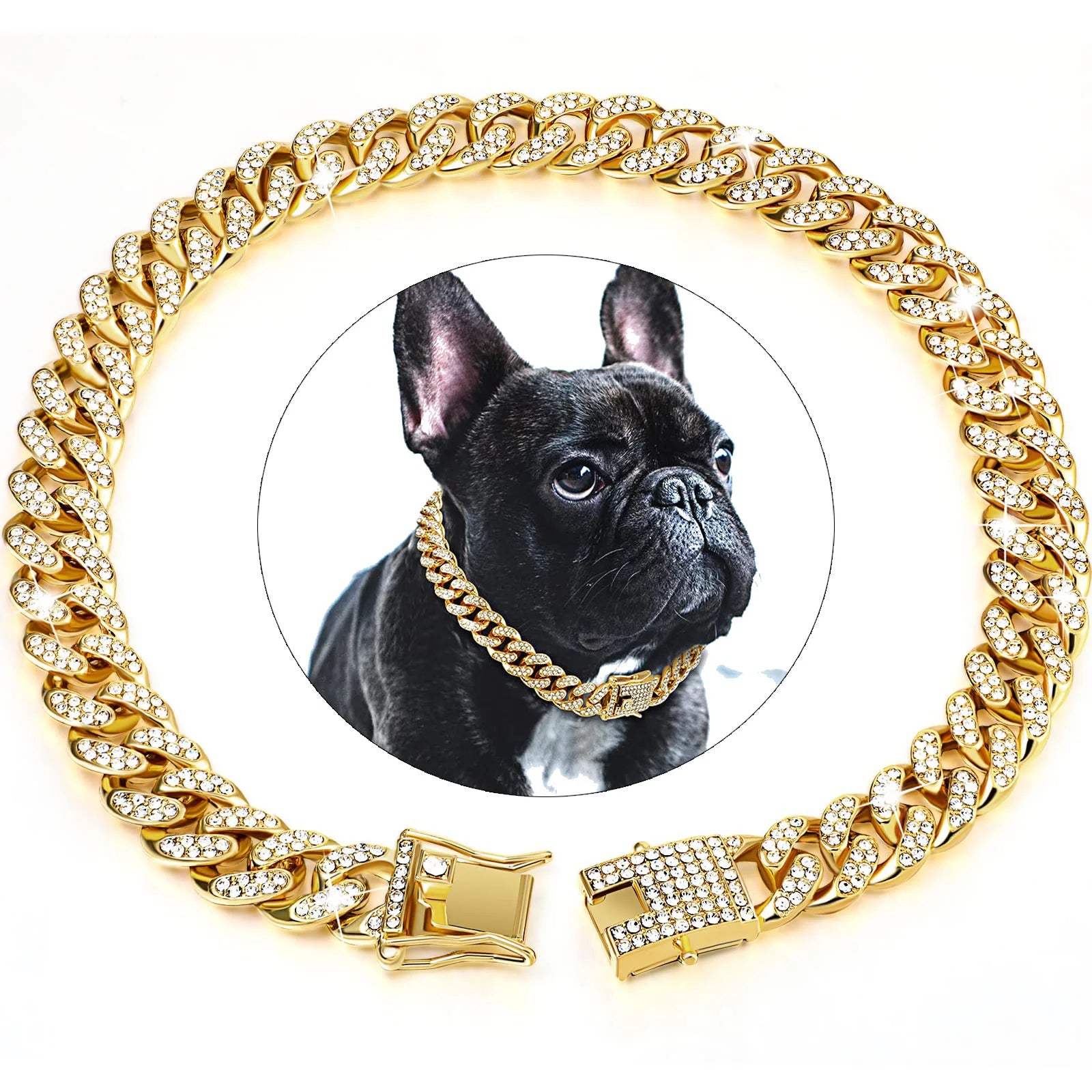 Dog Chain