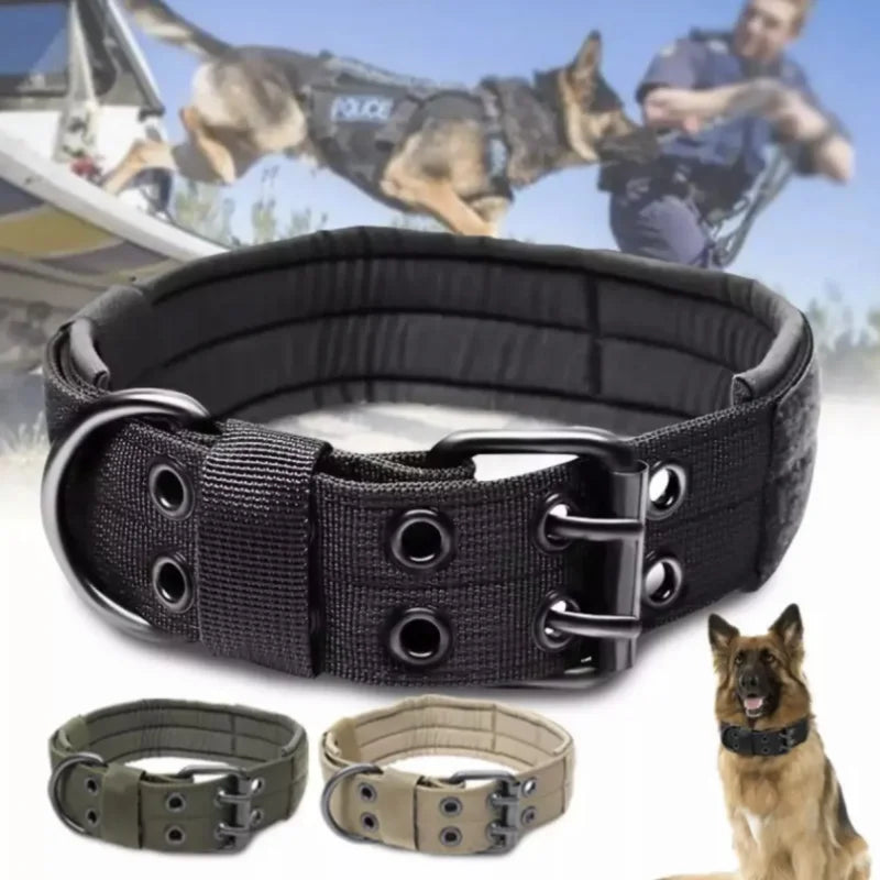 Dog Collar