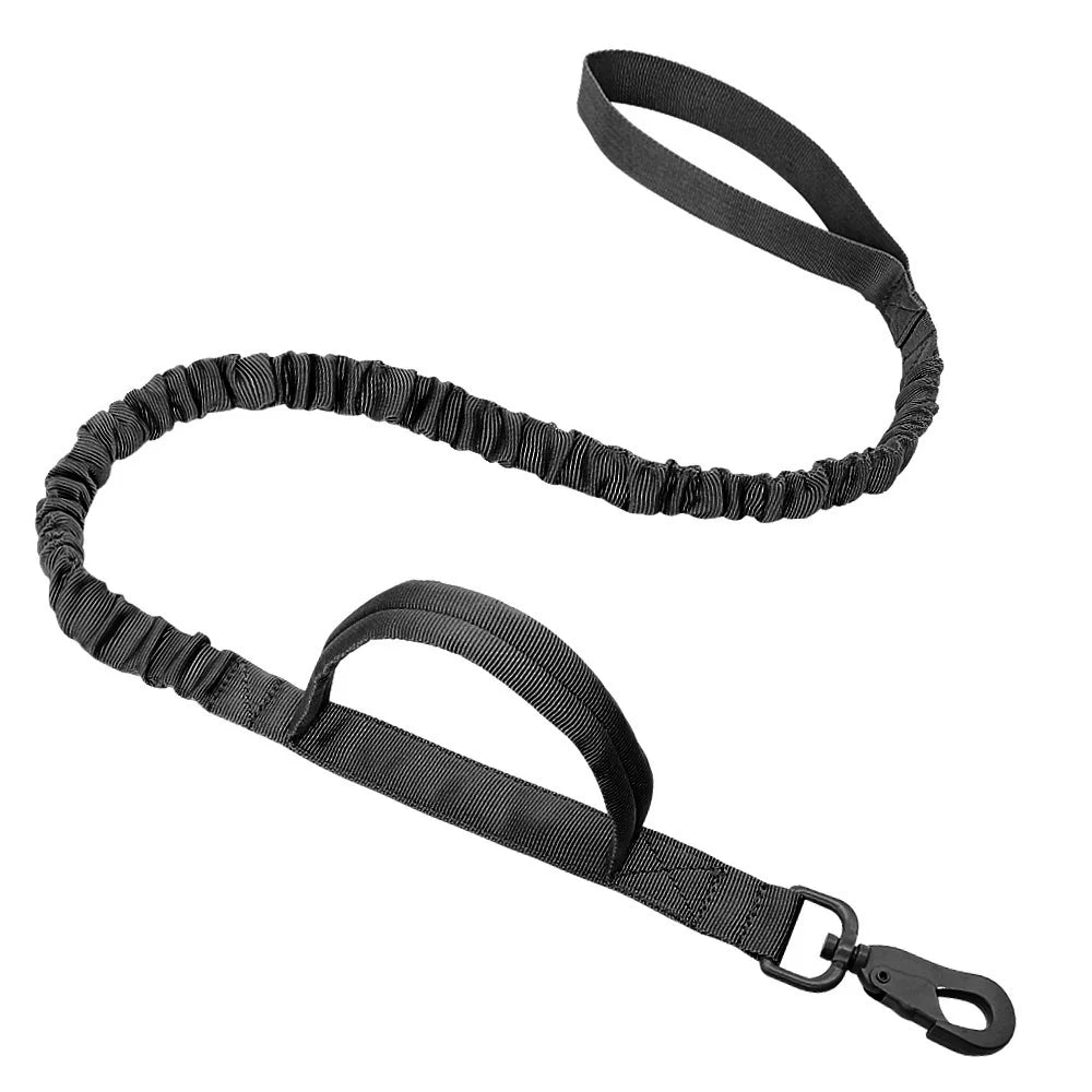 Pet Harness Leash