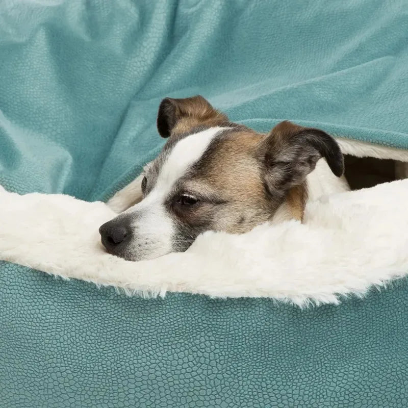 Orthopedic Dog Bed