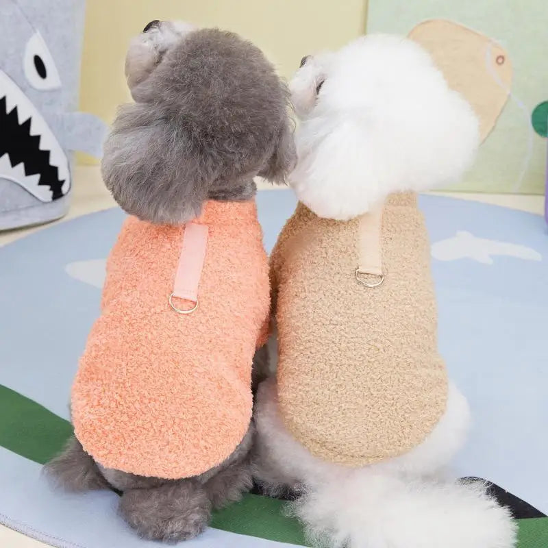 Clothes for Small Dogs