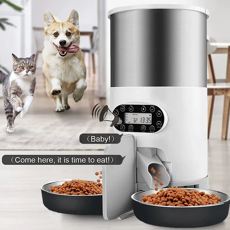 Automatic Food Feeder