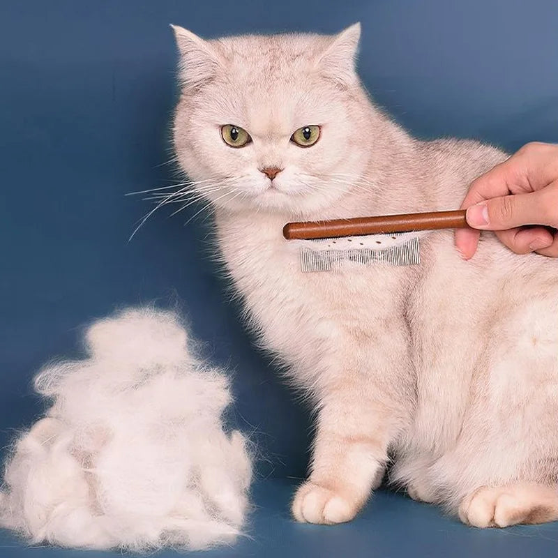 Cat Comb