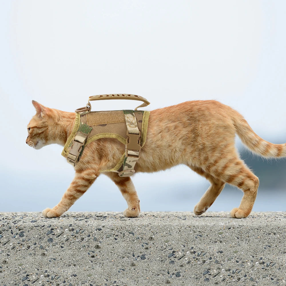 Pet Harness Leash