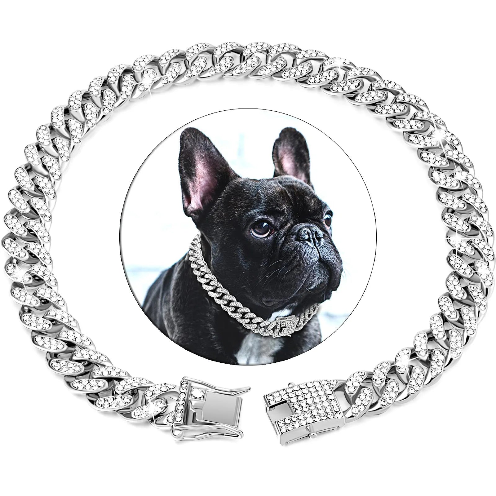 Dog Chain