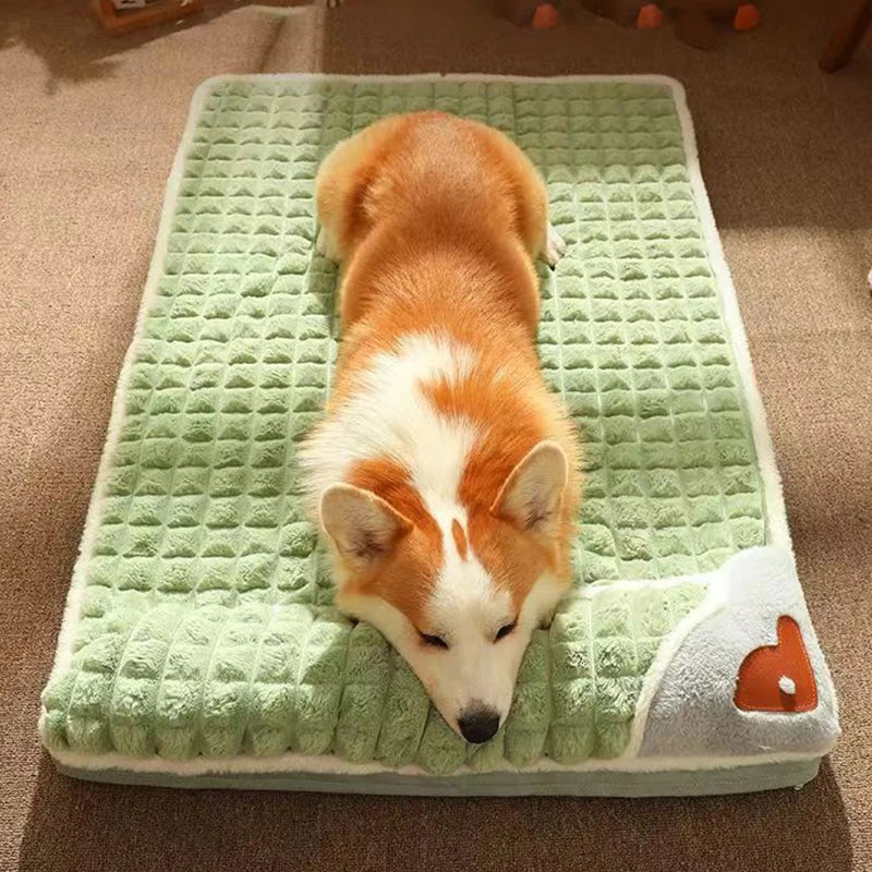 Dog Mat