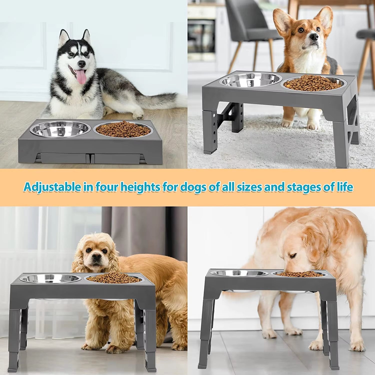 Elevated Dog Feeder